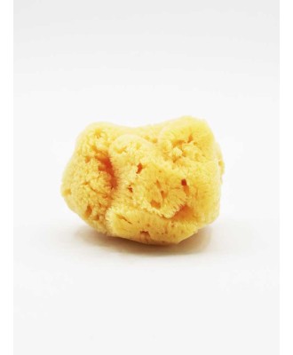 Eponge naturelle pour Visage